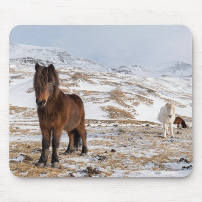 Icelandic Horses in Winter Mouse Mat (Front)