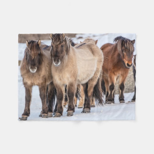 Icelandic Horses in Winter Near Hofn, Iceland Fleece Blanket (Front (Horizontal))