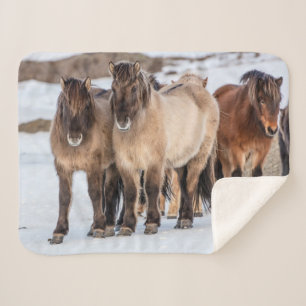 Icelandic Horses in Winter Near Hofn, Iceland Sherpa Blanket