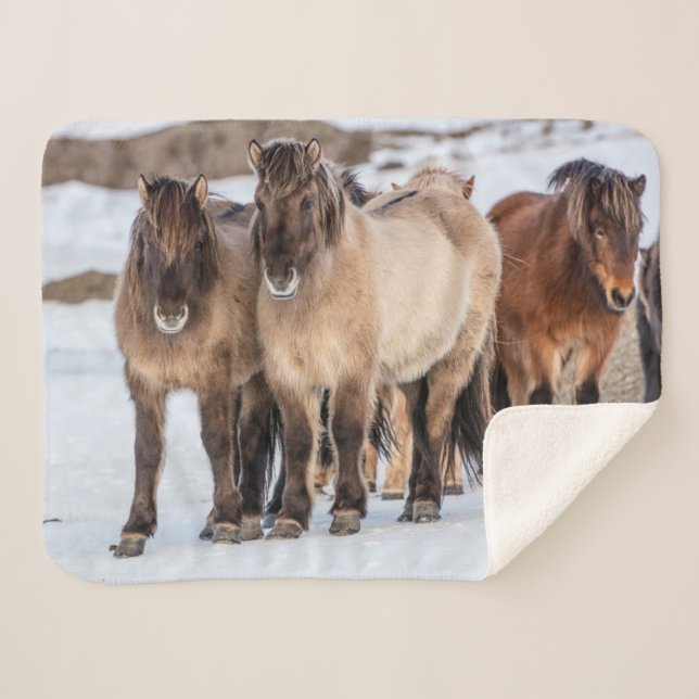 Icelandic Horses in Winter Near Hofn, Iceland Sherpa Blanket (Front (Horizontal))