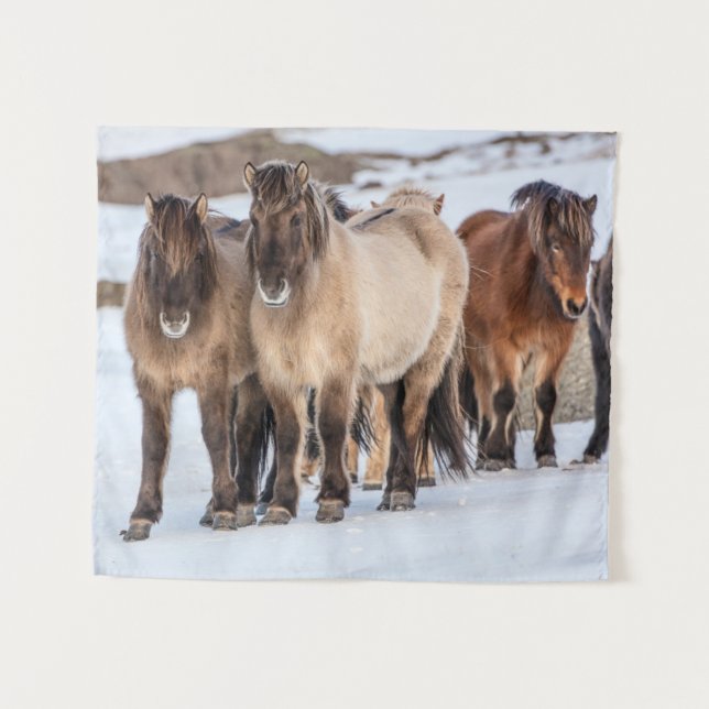 Icelandic Horses in Winter Near Hofn, Iceland Tapestry (Front (Horizontal))