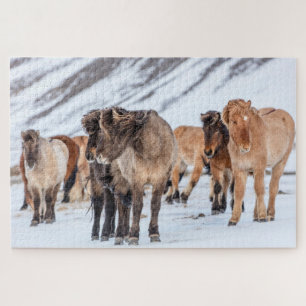 Icelandic Horses in Winter Pasture Near Hofn Jigsaw Puzzle