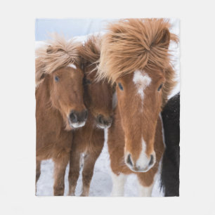 Icelandic Horses nuzzle, Iceland Fleece Blanket