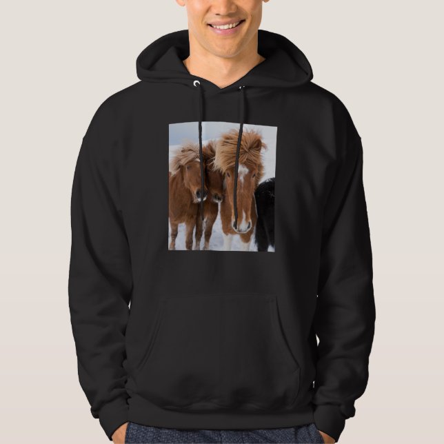 Icelandic Horses nuzzle, Iceland Hoodie (Front)
