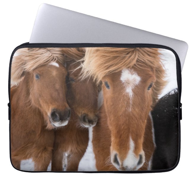 Icelandic Horses nuzzle, Iceland Laptop Sleeve (Front)