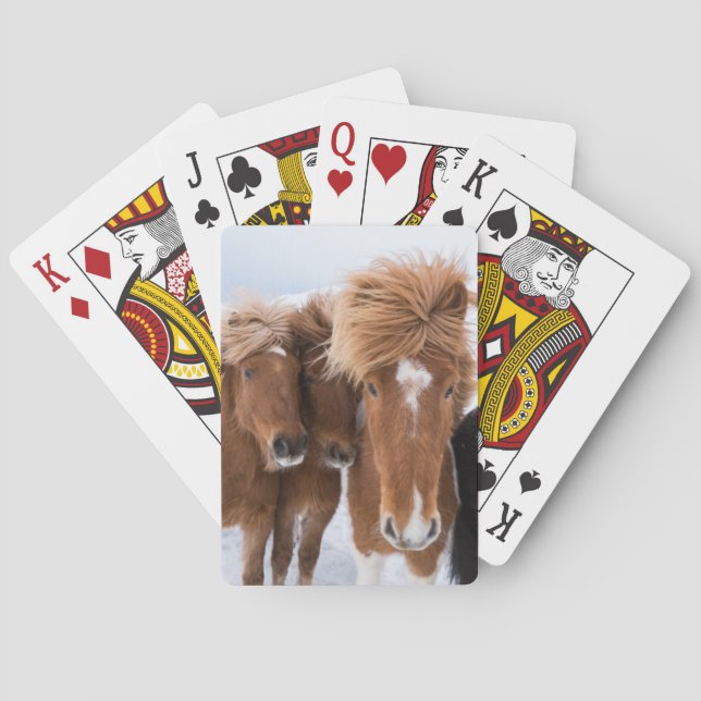 Icelandic Horses nuzzle, Iceland Playing Cards (Back)