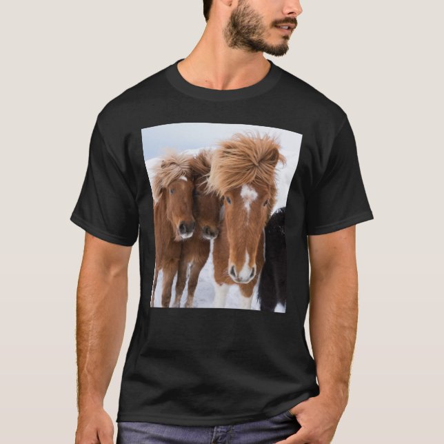 Icelandic Horses nuzzle, Iceland T-Shirt (Front)