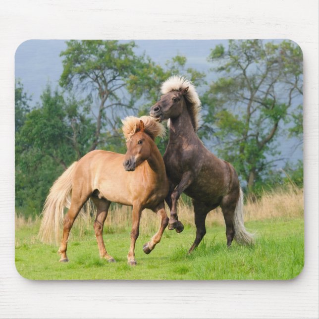 Icelandic horses playing and rearing mouse mat (Front)