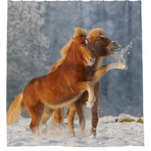 Icelandic Horses playing in snow Shower Curtain