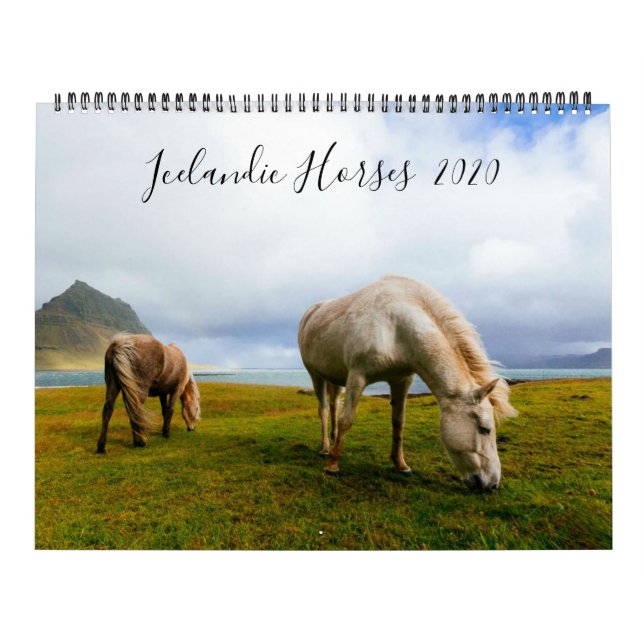 Icelandic Horses Wildlife Photography Custom Year Calendar (Cover)