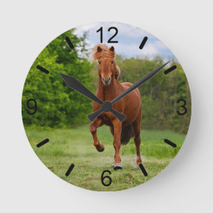 Icelandic Pony at a Tölt Funny Horse - dial-plate Round Clock