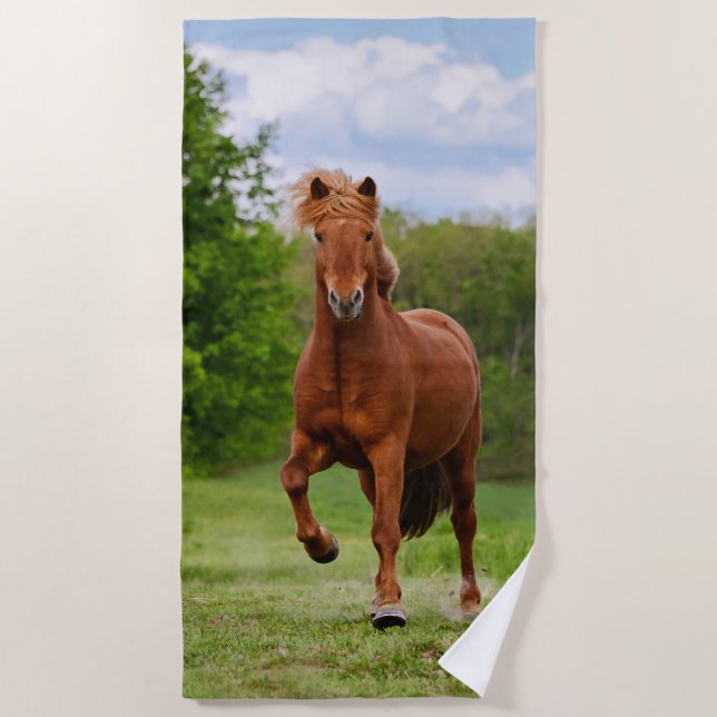 Icelandic Pony at a Tölt Funny Photo Horse Lovers Beach Towel (Front)