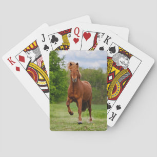 Icelandic Pony at a Tölt Funny Photo Horse Lovers Playing Cards