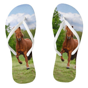 Icelandic Pony Runs Tölt Funny Photo Horse Lovers Flip Flops