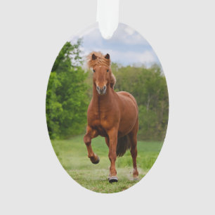 Icelandic Pony runs Tölt Funny Photo Horse Lovers Ornament