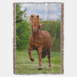 Icelandic Pony runs Tölt Funny Photo Horse Lovers Throw Blanket