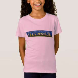 Icelandic pony written in ponies T-Shirt