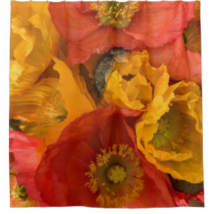 Icelandic Poppies Shower Curtain