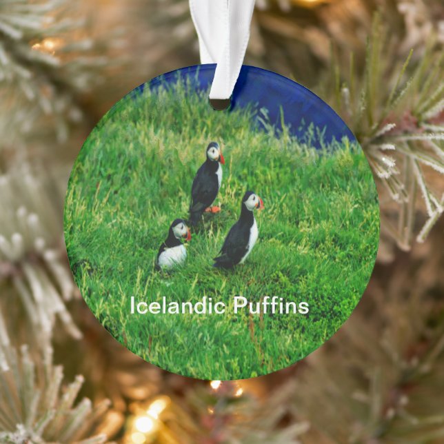 Icelandic Puffins in Summer Ornament (Tree)
