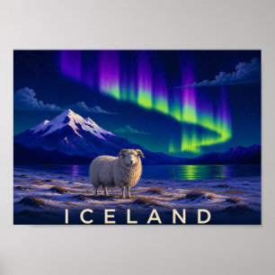 Icelandic Sheep Aurora Iceland Wall Art Print