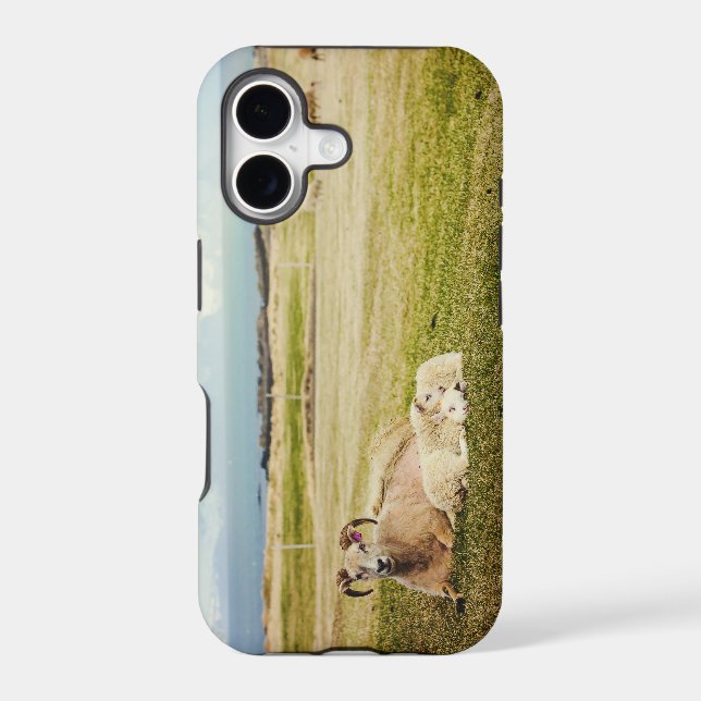 Icelandic Sheep iPhone case (Back)