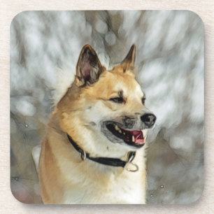 Icelandic Sheepdog 019 Coaster