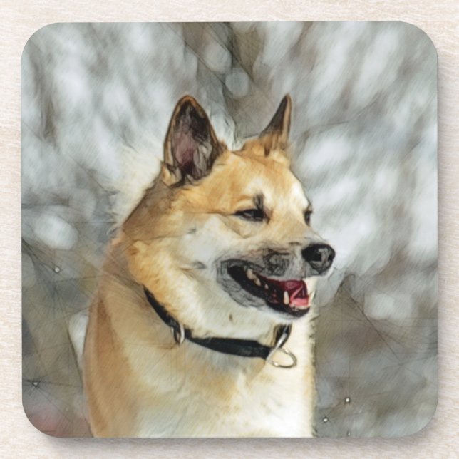 Icelandic Sheepdog 019 Coaster (Front)