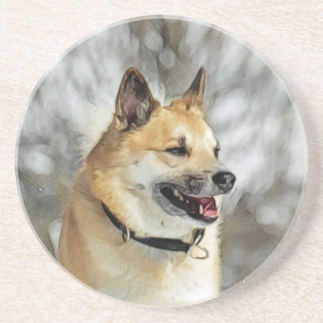Icelandic Sheepdog 019 Coaster (Front)
