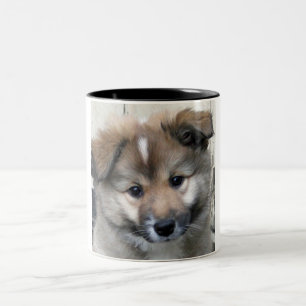 Icelandic Sheepdog 2014-0801 Two-Tone Coffee Mug