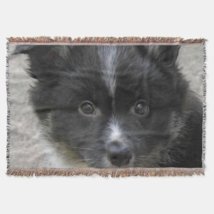 Icelandic Sheepdog 2014-0802 Throw Blanket