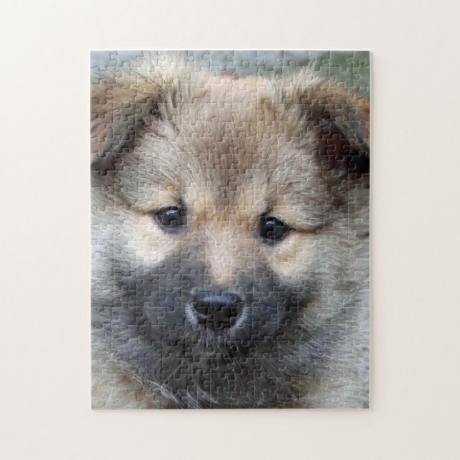 Icelandic Sheepdog 2014-0803 Jigsaw Puzzle (Vertical)
