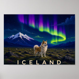 Icelandic Sheepdog Aurora Iceland Wall Art Print