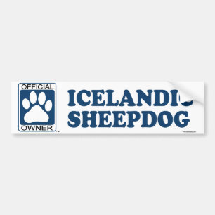 Icelandic Sheepdog Blue Bumper Sticker