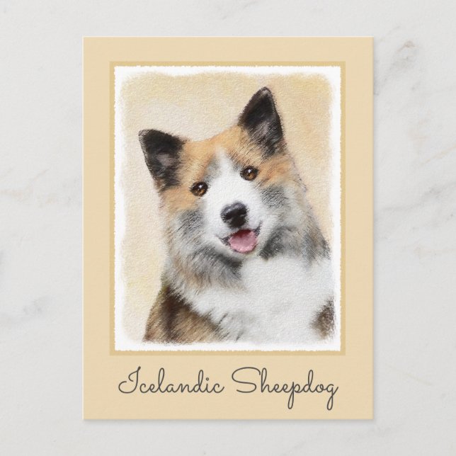 Icelandic Sheepdog Painting - Original Dog Art Postcard (Front)