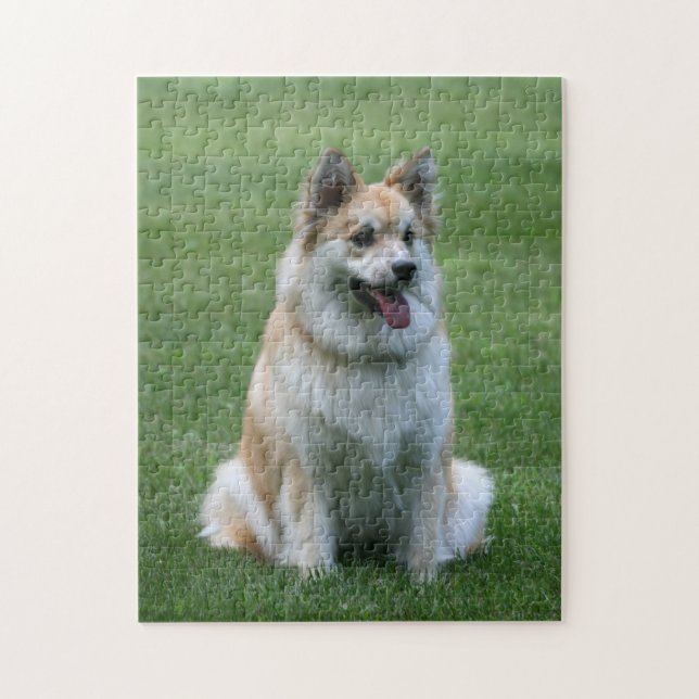 Icelandic Sheepdog Puzzle (Vertical)