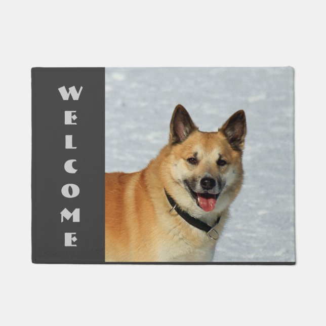IcelandicSheepdog20150904 Doormat (Front)