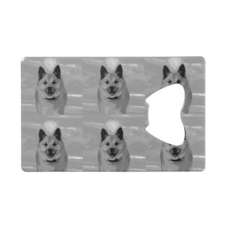 IcelandicSheepdog20151203