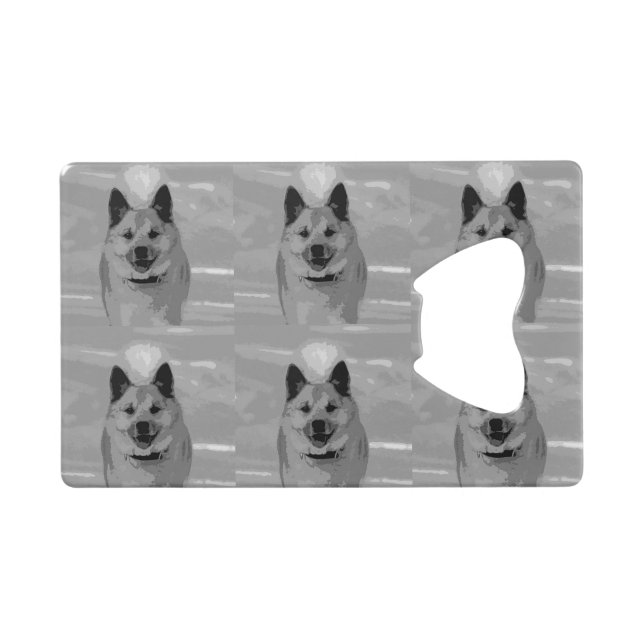 IcelandicSheepdog20151203 (Front (Horizontal))