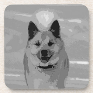 IcelandicSheepdog20151203 Coaster