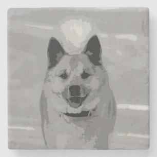 IcelandicSheepdog20151203 Stone Coaster
