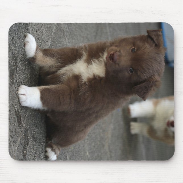 IcelandicSheepdog_20171202_by_JAMFoto Mouse Mat (Front)