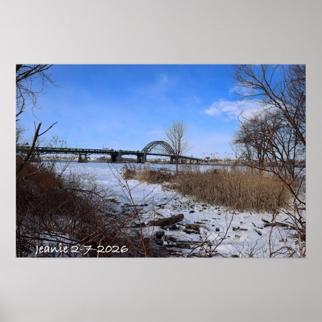 Icey Delaware Poster (Front)