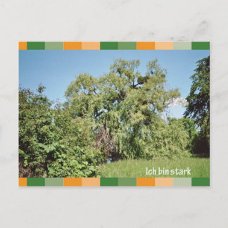 Ich bin stark postcard