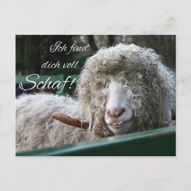 Ich find's dich voll Schaf! Postcard (Front)