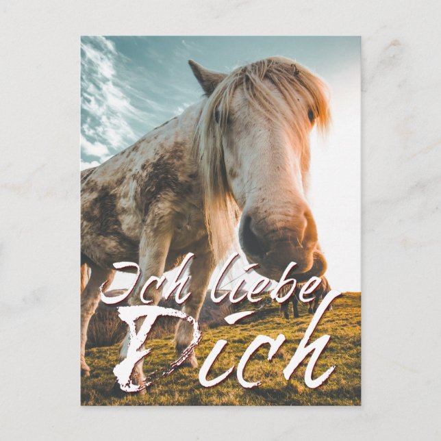 Ich liebe dich mit schauenden Pferd Holiday Postcard (Front)