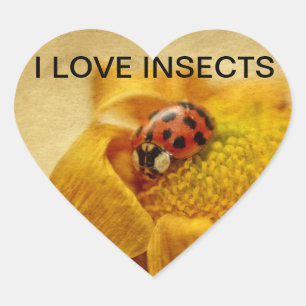 Ich liebe Marienkäfer Heart Sticker