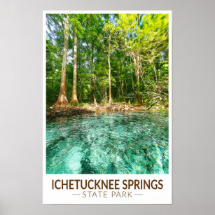 Ichetucknee Springs State Park Florida Watercolor Poster