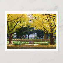 Icho Namiki (Ginkgo Avenue): Tokyo, Japan