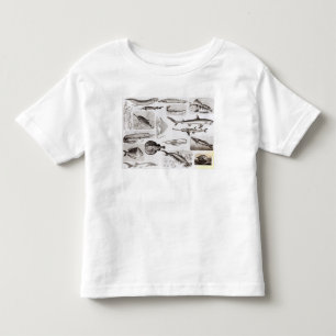 Ichthyology- Elasmobranch, Ganoid Toddler T-Shirt