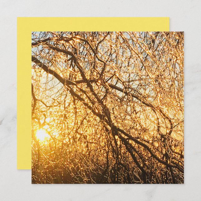 icicle branches at sunset invitation (Front/Back)